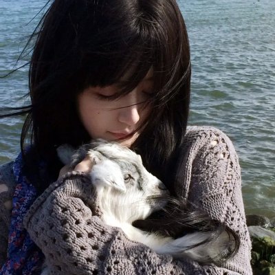 鹿王海报