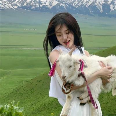 网诱惊魂海报